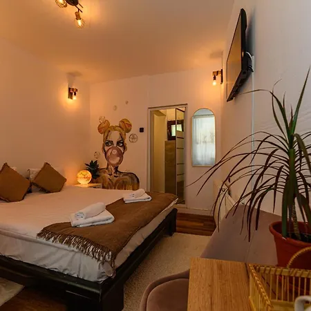 شقة Backpacker's براشوف