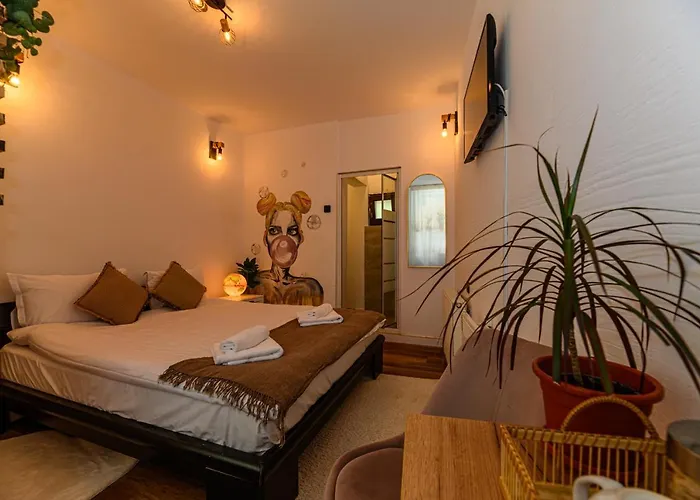 דירה Backpacker's בראשוב