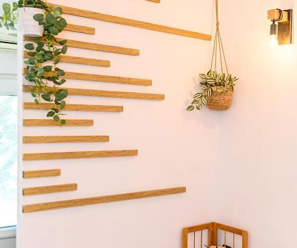 Backpacker's Apartment Brasov